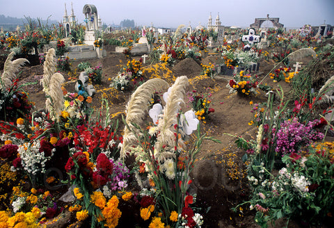 Day of the Dead Cemetery