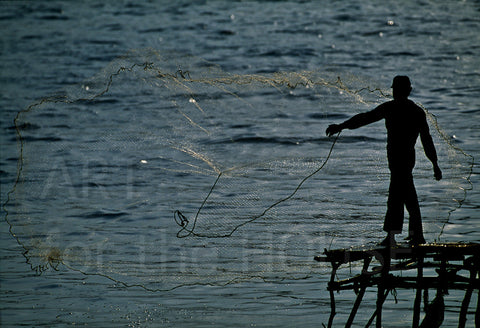 Fisherman in Tuxpan