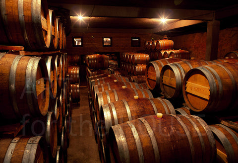Wine Barrels in Baja