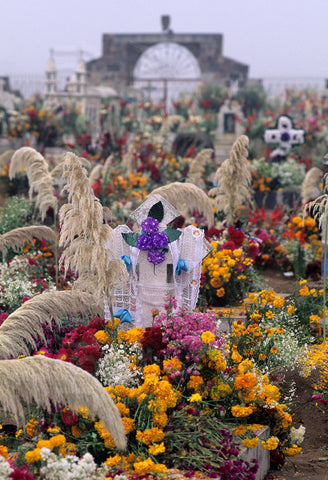 Day of the Dead Celebration